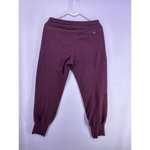 Patagonia Purple Light sweatpants Size XS